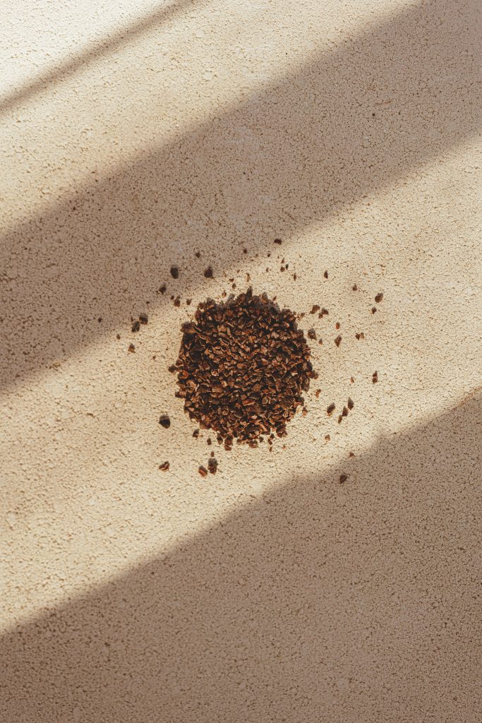cachao_int_cacao_nibs
