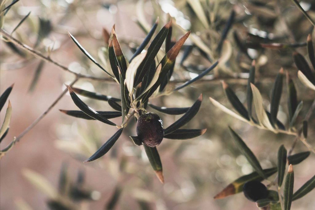 olives